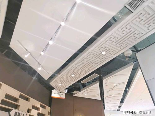 善用资源，筑梦未来 中国建材集团“善用资源日”北新建材站首届开放活动侧记